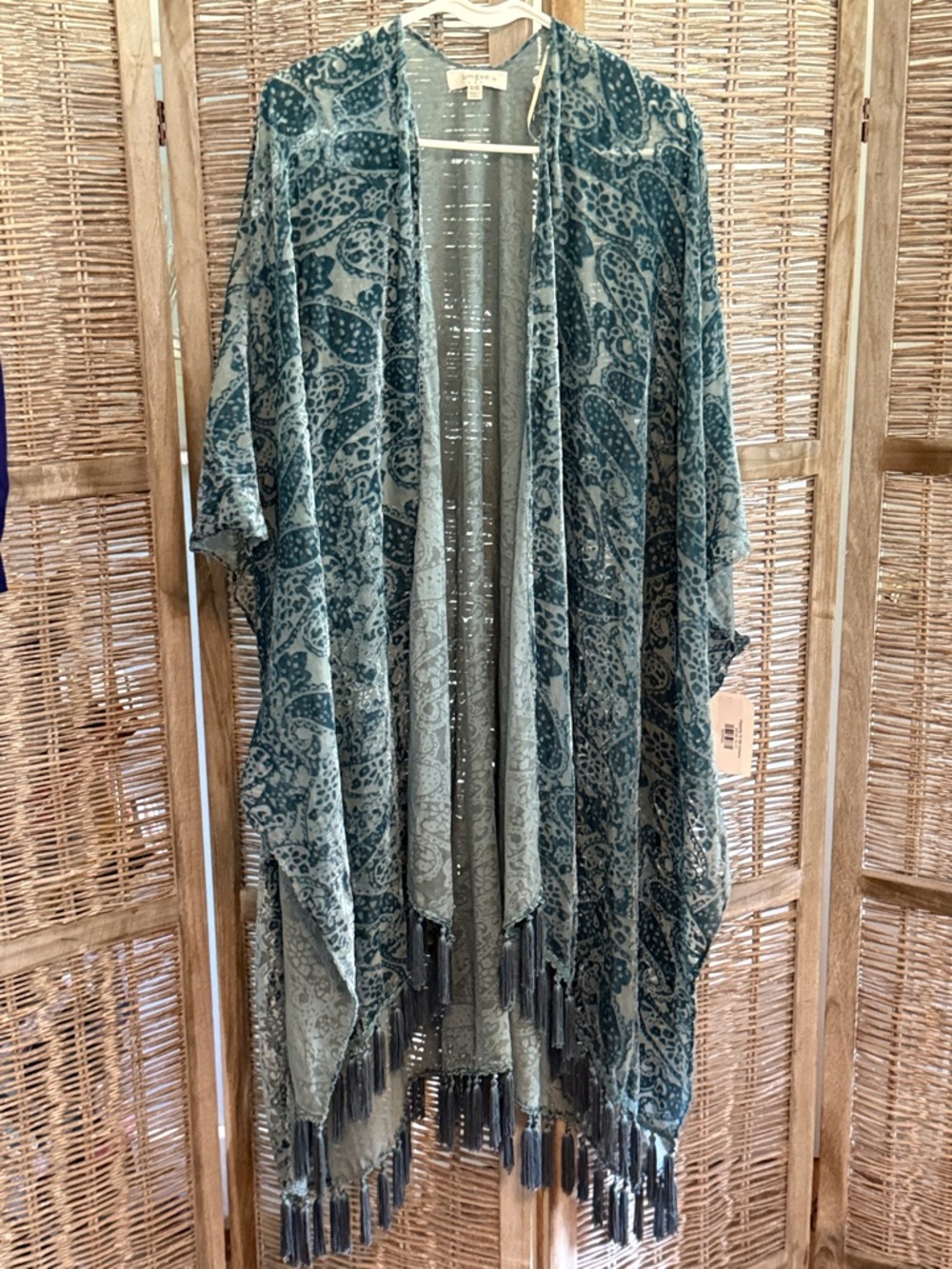 Umgee blue Boho Paisley Fringe Kimono in Teal